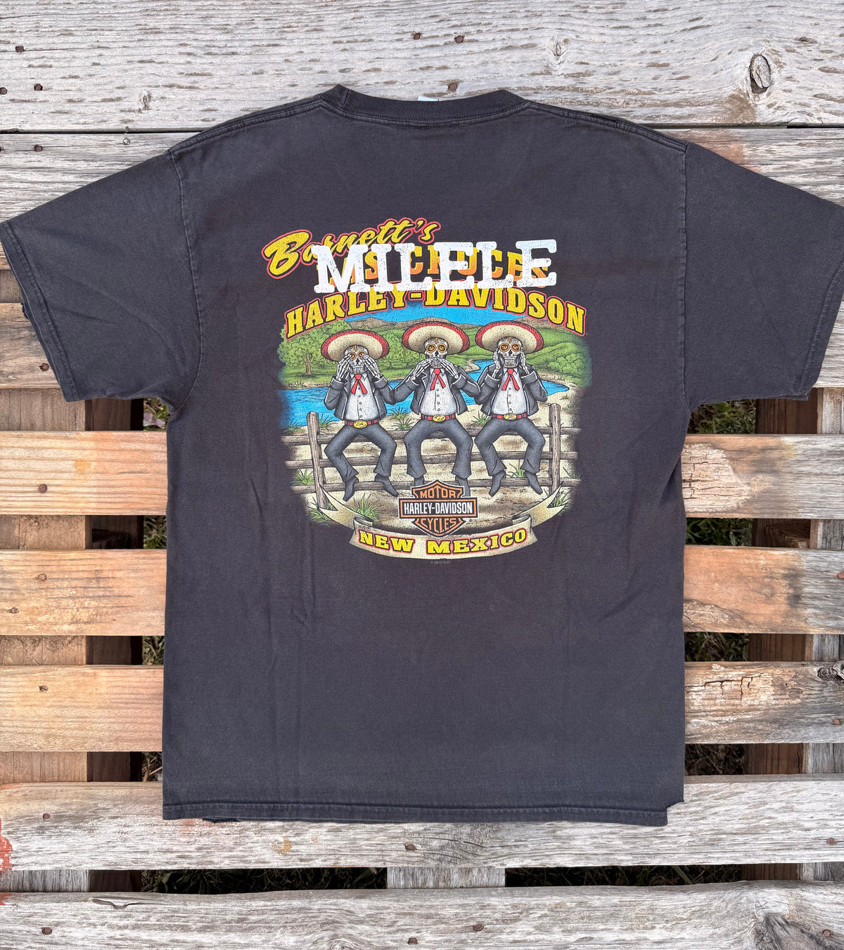 I ❤ Me Forever Tee- New Mexico (2014)- SIZE L