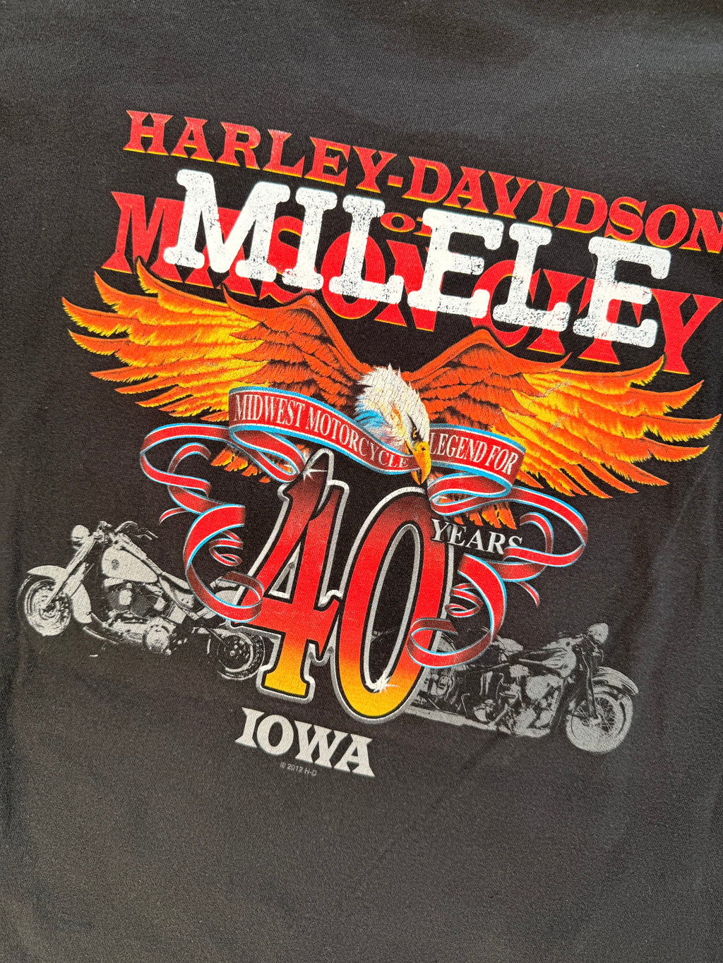 I ❤ Me Forever Tee- Iowa (2012)- SIZE L